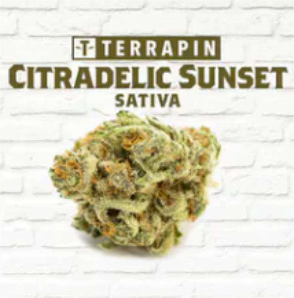 Citradelic Sunset